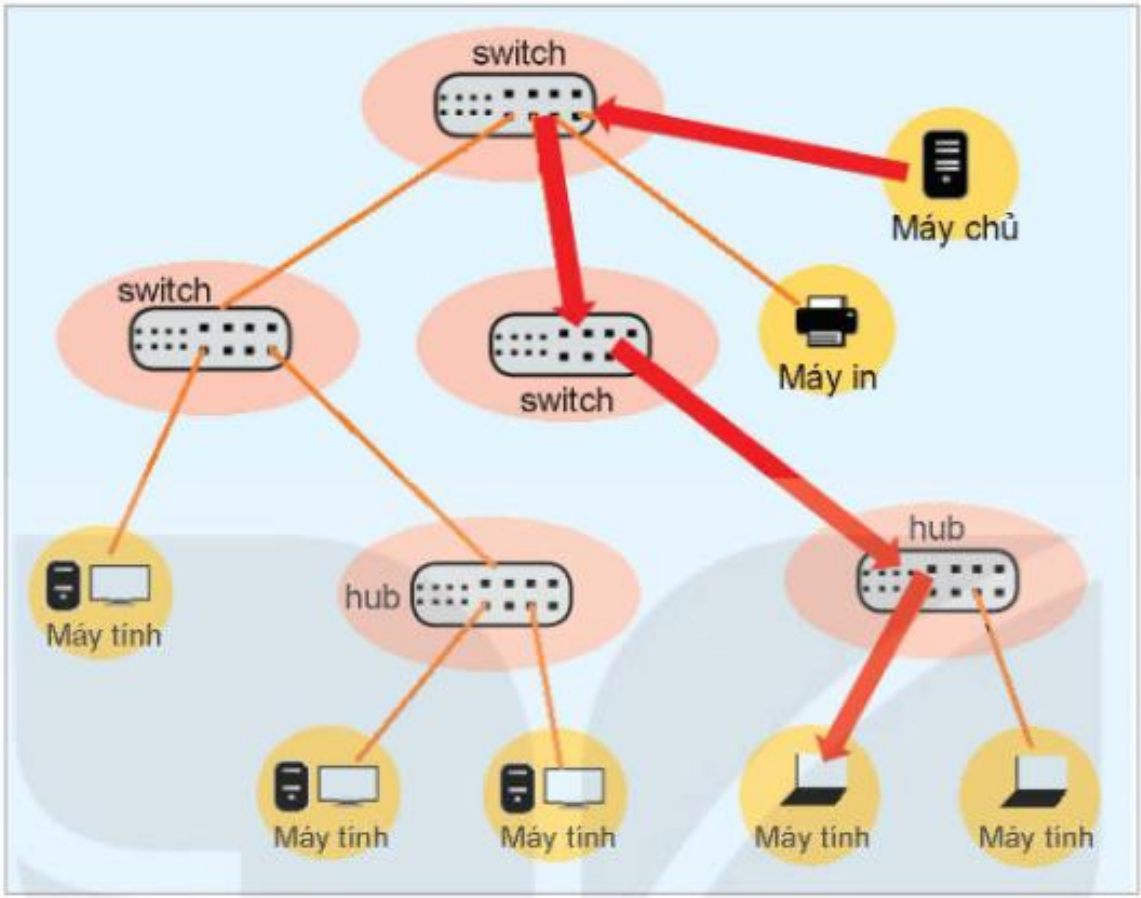 Hình 3.2. Sơ đồ một LAN sử dụng nhiều tầng switch kết hợp với hub