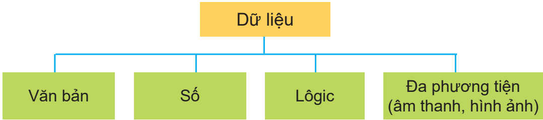 Hình 3.2. Sơ đồ phân loại các kiểu dữ liệu