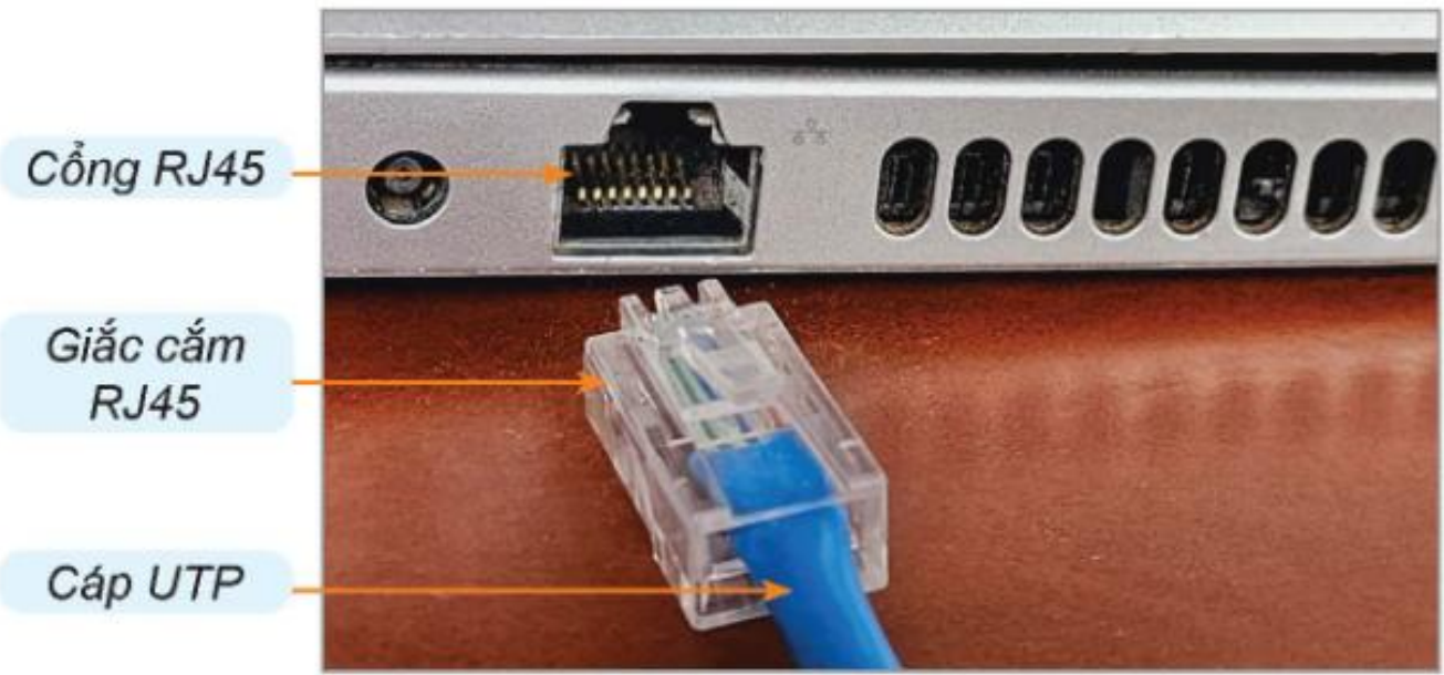 Hình 3.8. Giắc cắm và cổng RJ45