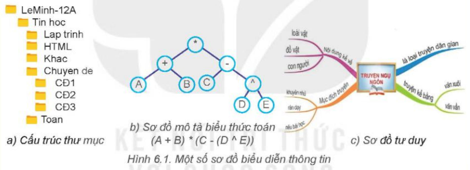 Hình 6.1. Một số sơ đồ biểu diễn thông tin