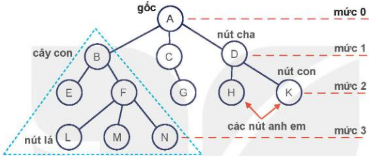 Hình 6.2. Mô hình cây