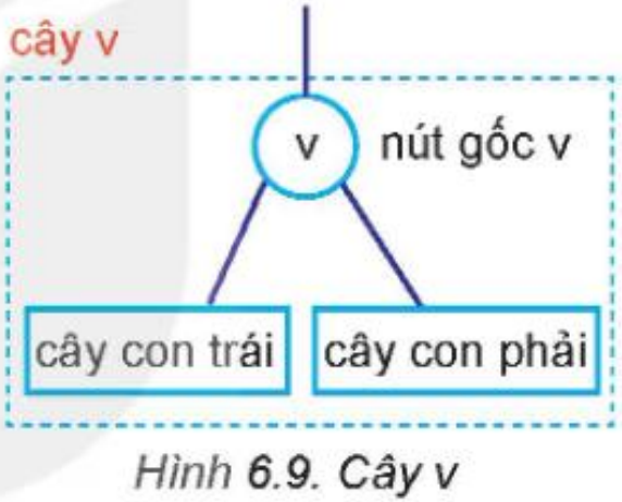Hình 6.9. Cây v
