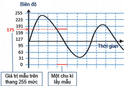 Hình 6.2. Chu kì lấy mẫu và thang giá trị mẫu