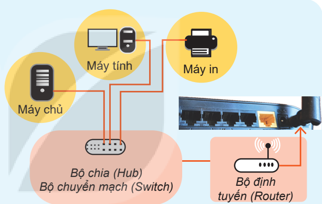 Hình 8.1. Mô hình của mạng cục bộ