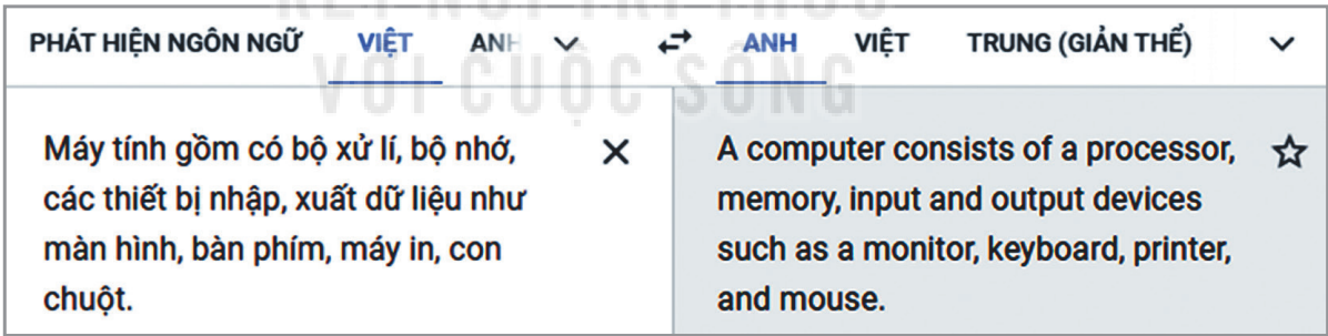 Hình 10.3. Nhập văn bản trực tiếp vào khung ngôn ngữ nguồn