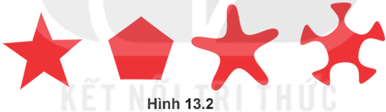 Hình 13.2