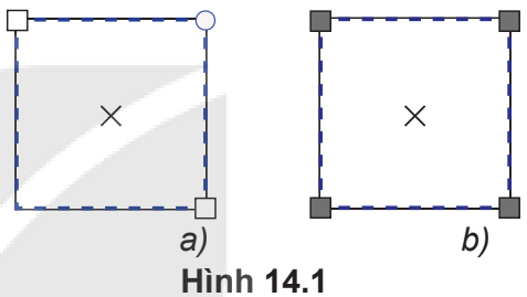 Hình 14.1