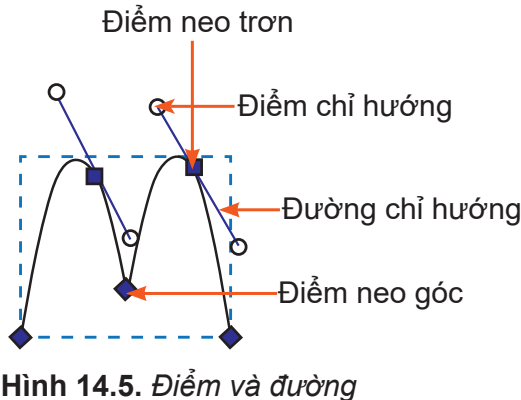 Hình 14.5. Điểm và đường
