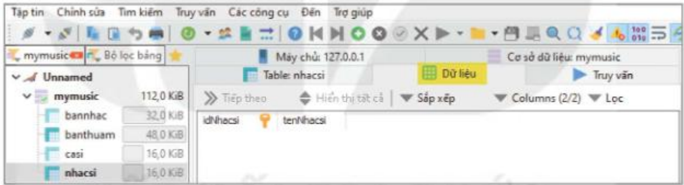 Hình 21.1. Giao diện của thẻ Dữ liệu