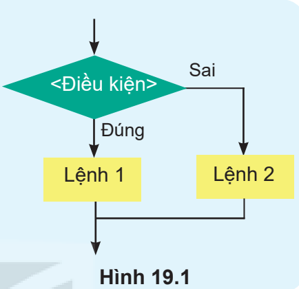 Hình 19.1