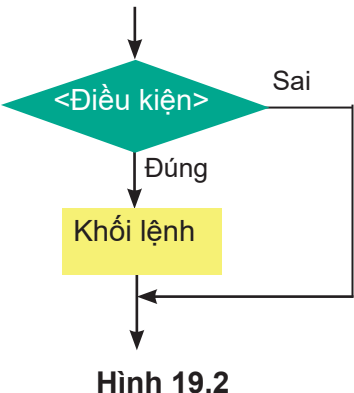 Hình 19.2