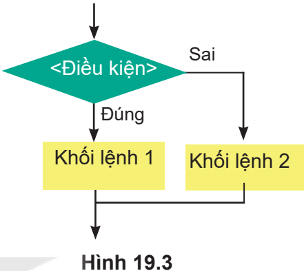 Hình 19.3