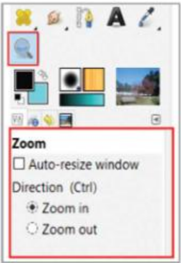 Hình 25.3. Tuỳ chọn công cụ Zoom