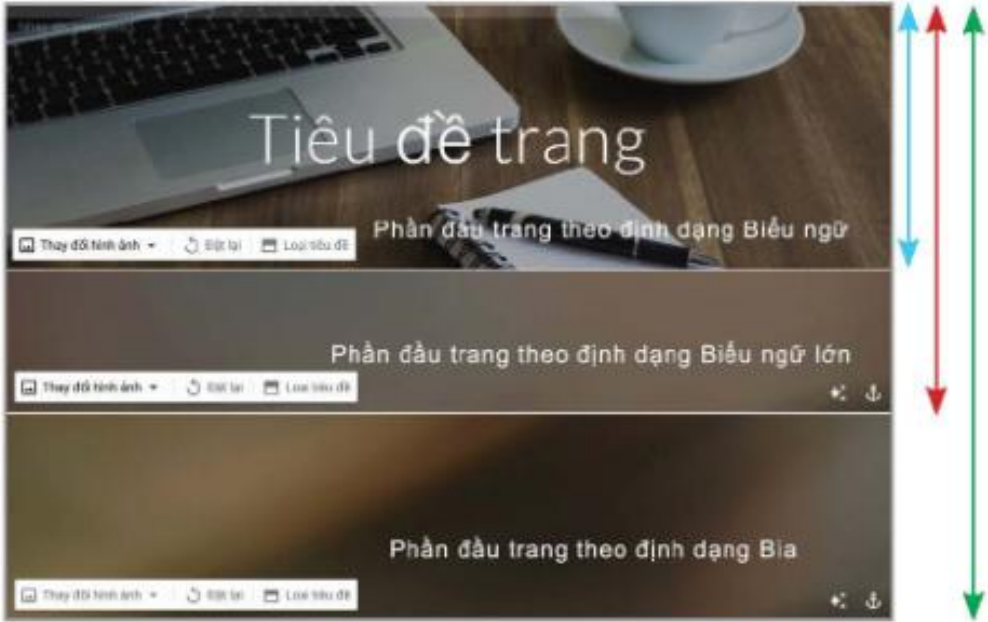 Hình 24.4. Các tuỳ chọn Loại tiêu đề