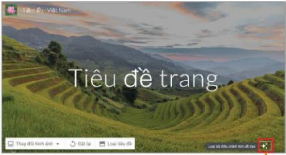 Hình 24.10. Bỏ tự điều chỉnh độ sáng của ảnh