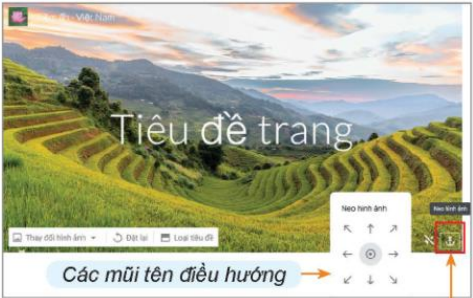 Hình 24.11. Điều chỉnh vị trí của ảnh nền