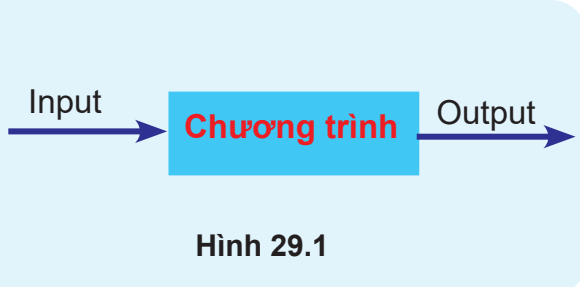 Hình 29.1